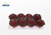 Эхеверия Red Ruby d12 см h20 см