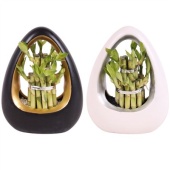 Лаки Бамбук "Round 2 Big In Ikebana Ceramic" d19 см h25 см