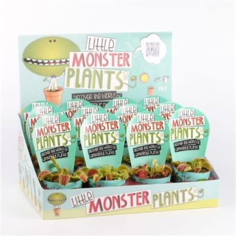 Венерина мухоловка Дионея Little Monster Plants d8.5 см h10 см